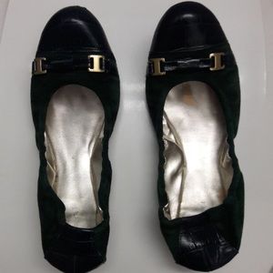Green flats from Tahari